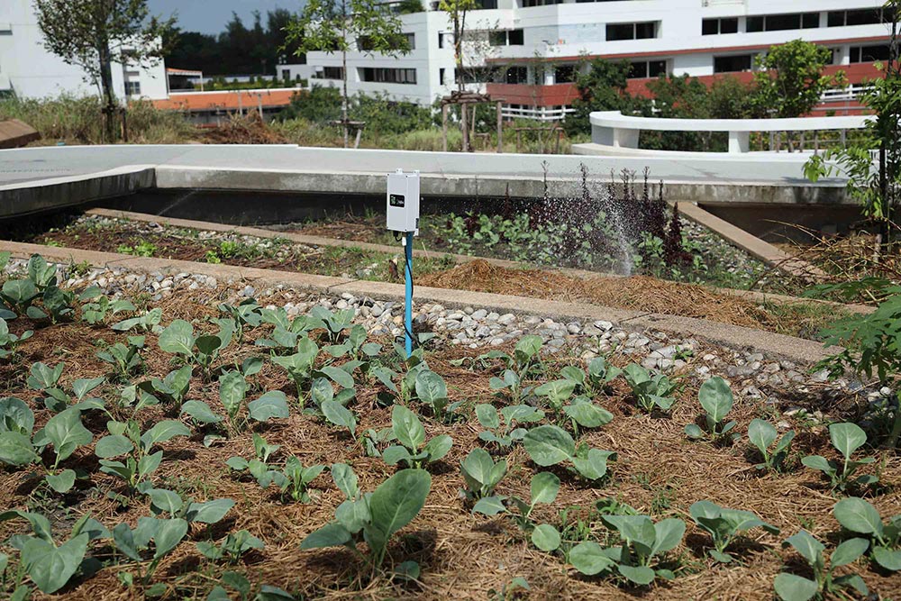Sustainability Lab an inspiration – UN official Thammasat and AIS invite ‘like-minded’ Thais to face the challenges of our future 