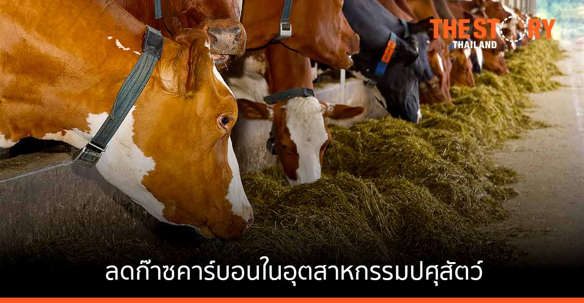 ปศุสัตว์ไทยเตรียมพร้อมสู่เกษตรกรยั่งยืน ลดก๊าซเรือนกระจกในห่วงโซ่การผลิต