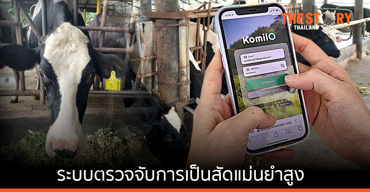ทีมวิจัย มจธ. ส่ง แอปฯ KomilO และระบบตรวจจับการเป็นสัดแม่นยำสูง แก้ปัญหาโคผสมติดยาก