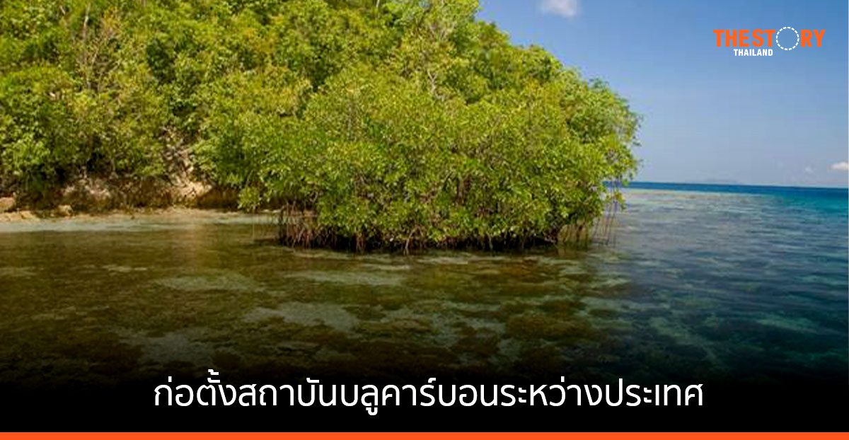 Amazon – องค์กรอนุรักษ์สิ่งแวดล้อม ก่อตั้งสถาบันบลูคาร์บอนระหว่างประเทศ ปกป้องและฟื้นฟูระบบนิเวศชายฝั่ง
