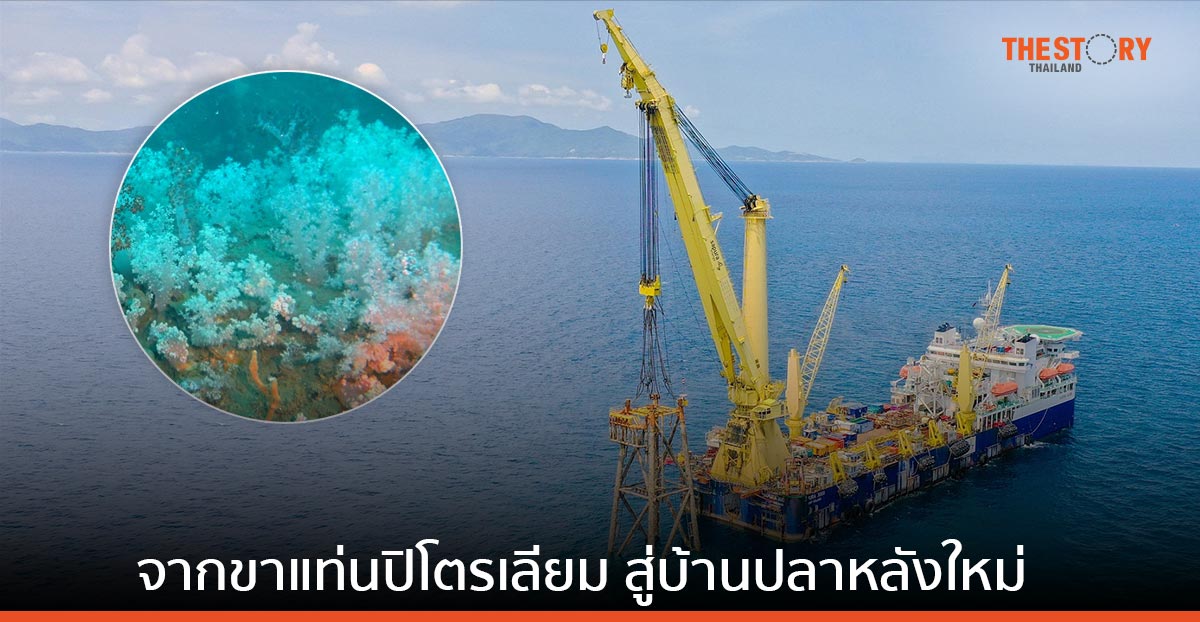 เปิดผลสำเร็จ 2 ปี โครงการนำร่อง Rigs-to-Reefs พลิกบทบาทขาแท่นปิโตรเลียม สู่บ้านปลาหลังใหม่ใต้ทะเล 