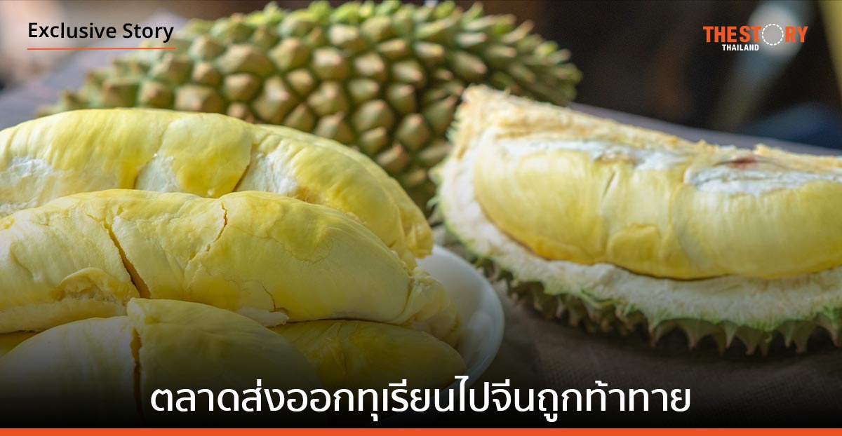 เมื่อ “ตลาดส่งออกทุเรียนไปจีน” ของไทย ถูกท้าทาย