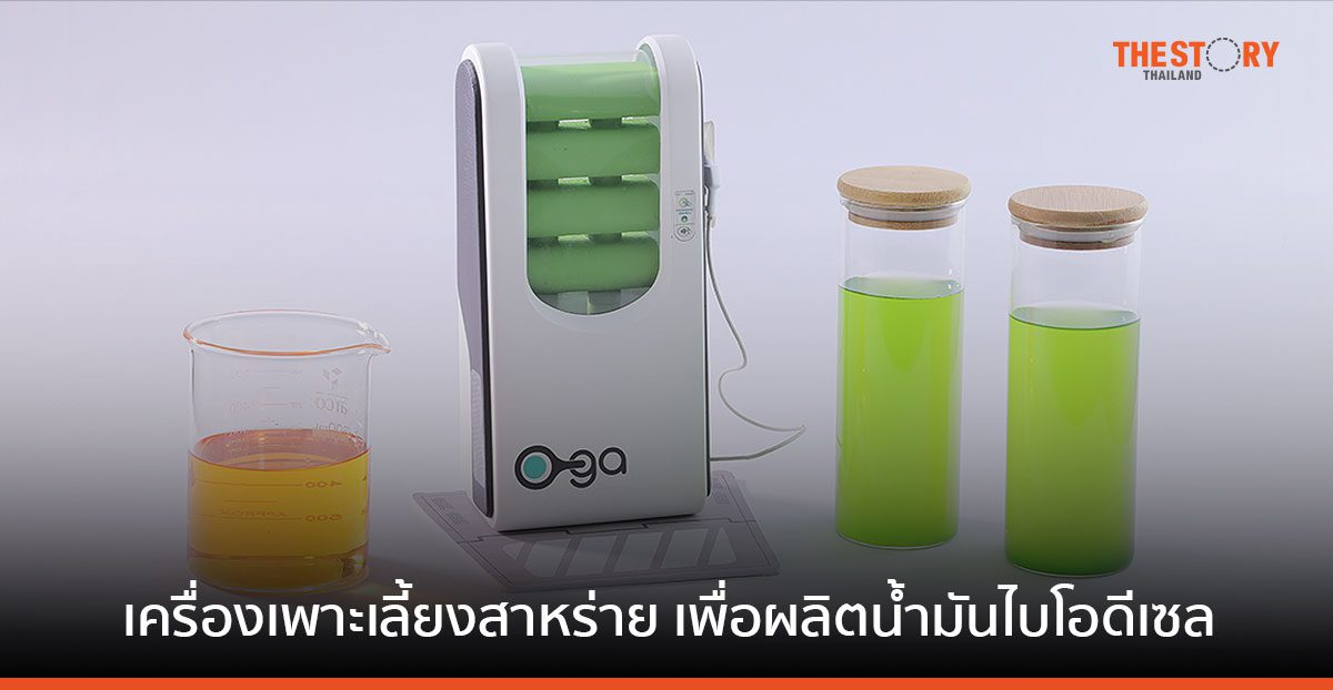 O-GA เครื่องเพาะเลี้ยงสาหร่ายเพื่อผลิตน้ำมันไบโอดีเซล ผลงานเด็กไทยคว้ารางวัล James Dyson Award 2566