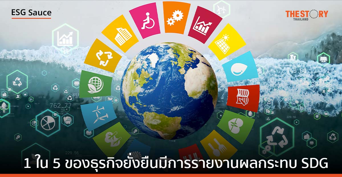 1 ใน 5 ของธุรกิจยั่งยืนมีการรายงานผลกระทบ SDG