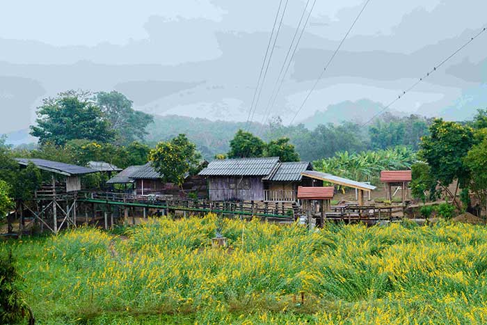 โฮมสเตย์ “หมอนไม้ไออุ่น”