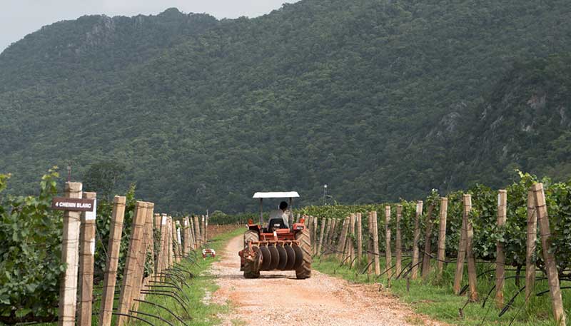 GranMonte Vineyard and Winery 