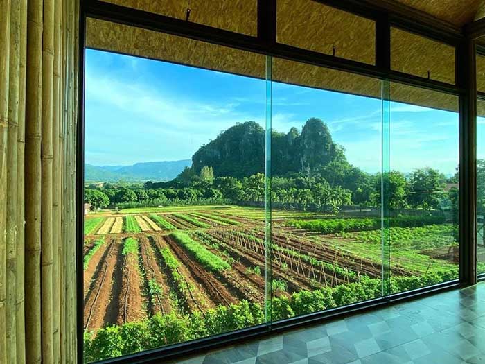 ฟาร์มเกษตรรักษ์สุขภาพ Wenzel Organic Farm
