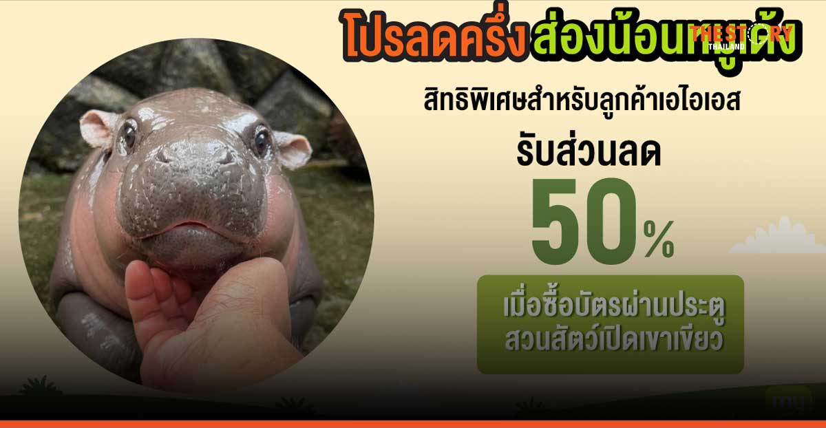 “หมูเด้ง” ทุบสถิติยอดแลกส่วนลดเข้าชมสวนสัตว์เปิดเขาเขียวจาก AIS โตพุ่ง 400%